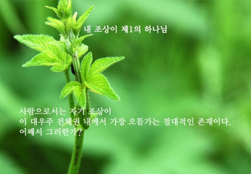 조상이하나님